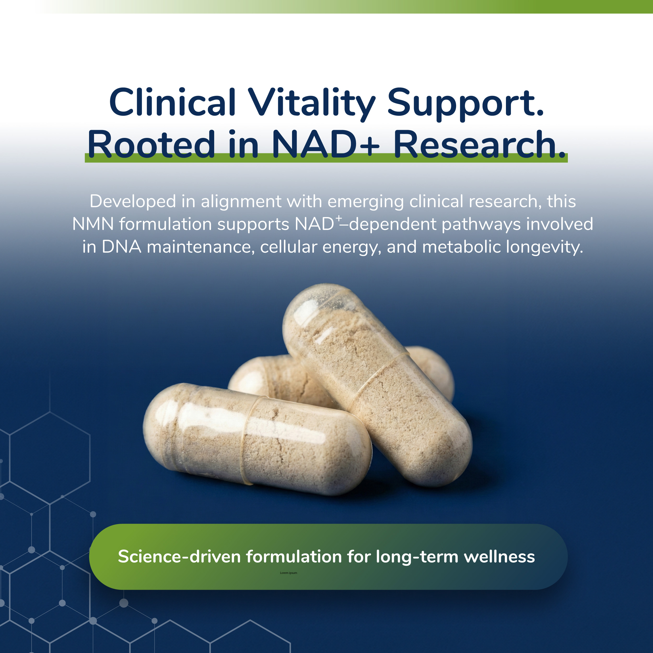 Clinical Vitality Support